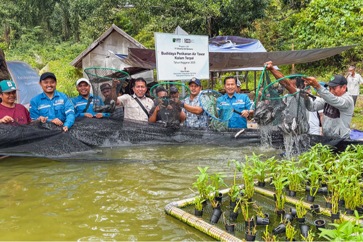Panen Lele di Pinggir Pantai, Harapan Baru Masyarakat Nelayan Desa Pelapis