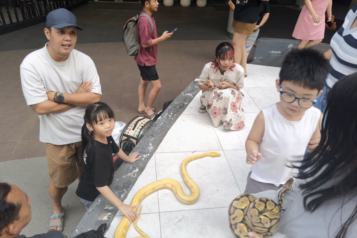 Sentuhan Edukasi di Balik Serunya Pets Gathering Mal Gaia