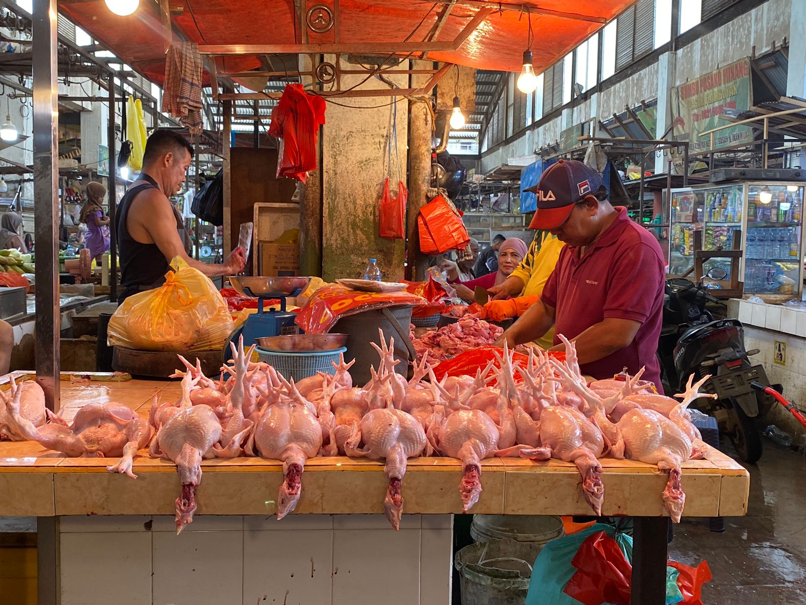 Jelang Imlek, Harga Daging Ayam Potong di Pasar Pontianak Tembus Rp 45 Ribu per Kilogram