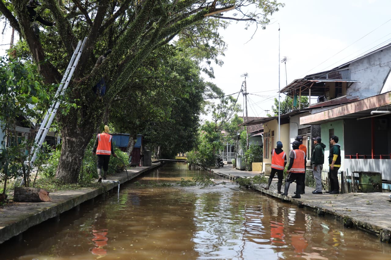 PUPR Pontianak Tindaklanjuti Aduan Warga soal Perawatan Pohon