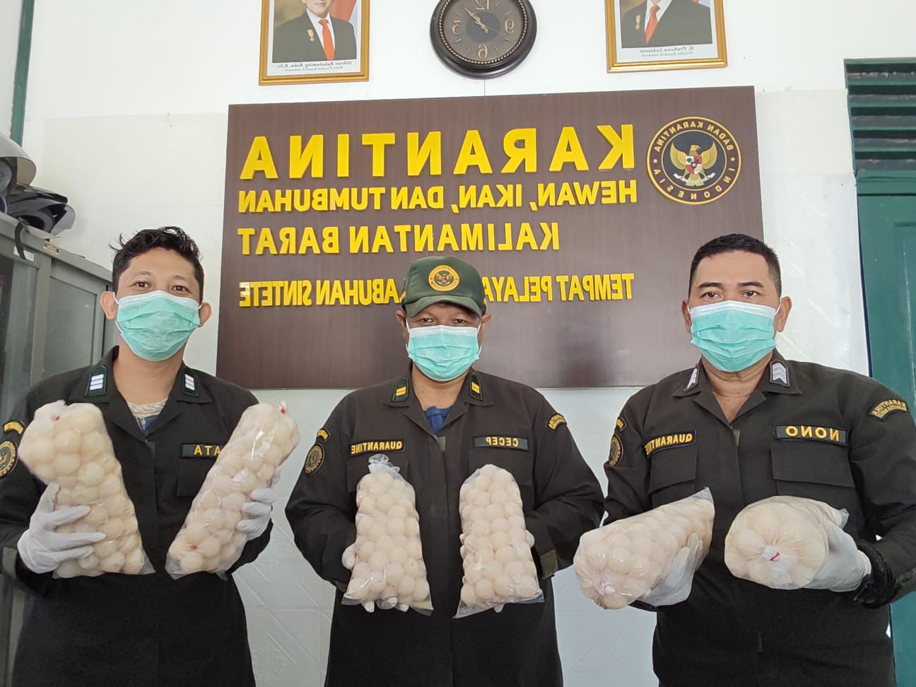 502 Butir Telur Penyu Ilegal, Karantina Kalbar Gagalkan Penyeludupan di Sambas