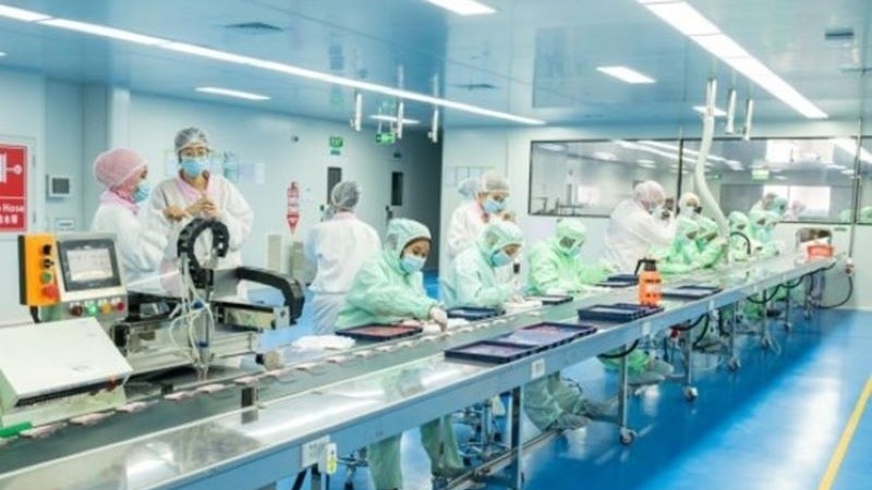 PINKFLASH Buka Produksi Lokal, Rantai Pasok Transparan Bangun Kembali Keyakinan Konsumen