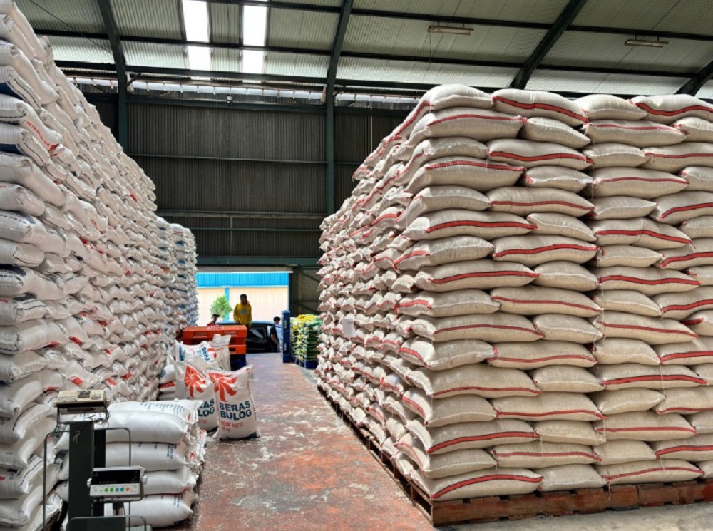Bulog Serap 3 Juta Ton Beras Nasional, Ketapang Sumbang 242 Ton Setara Beras