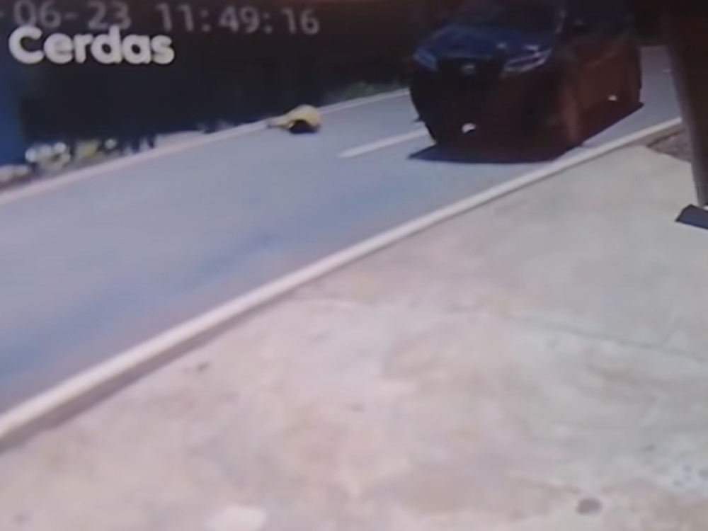 Sopir Terios Penabrak Anak di Ketapang Diamankan Polisi Usai Rekaman CCTV Viral