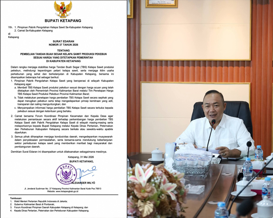 Bupati Ketapang Minta Pabrik Sawit Patuhi Harga TBS Pemerintah, Petani Diminta Tak Dirugikan
