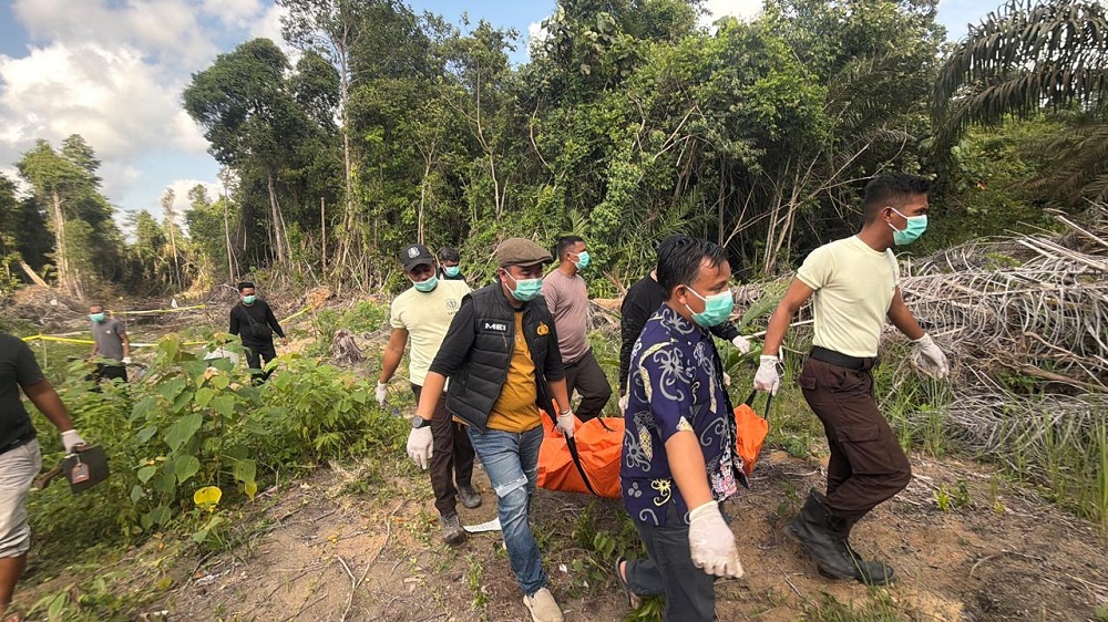 Diputus Pacar, Pria di Ketapang Diduga Habisi Mantan Kekasih lalu Kuburkan di Kebun Sawit