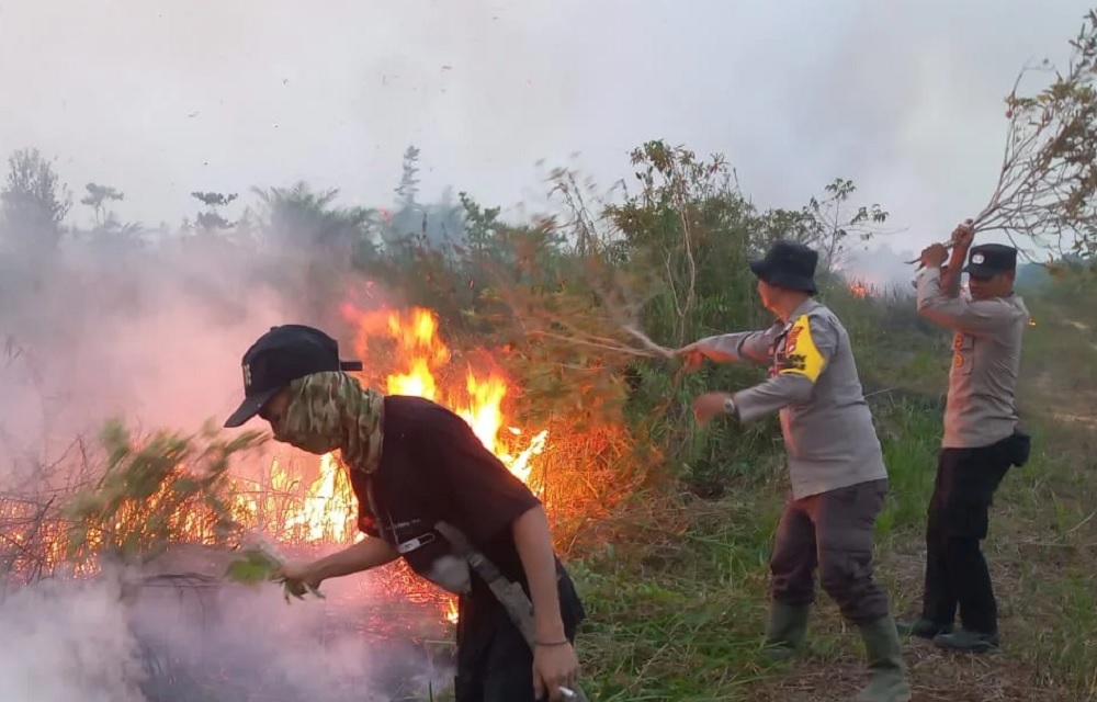 Karhutla Kian Meluas, Melawi Butuh Bantuan Water Bombing