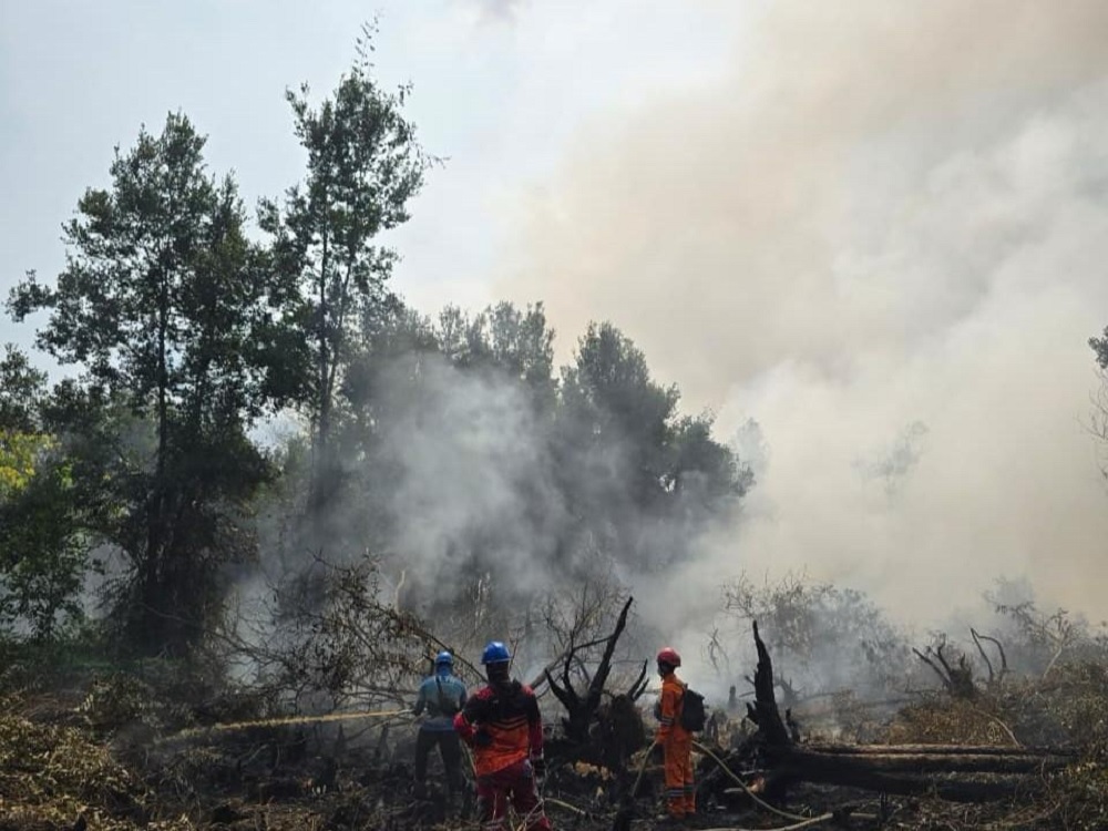 Tim PLN Terjun Padamkan Karhutla di Tumbang Nusa, Cegah Api Mendekati Jalur Transmisi