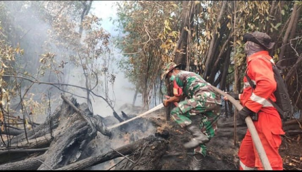 TNI, Polri dan BPBD Turun Padamkan Karhutla di Pengkadan Kapuas Hulu