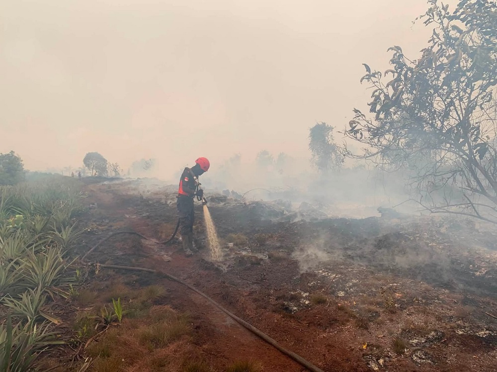 Dua Perusahaan di Ketapang Diperiksa, Kemenhut Perketat Pengawasan Karhutla