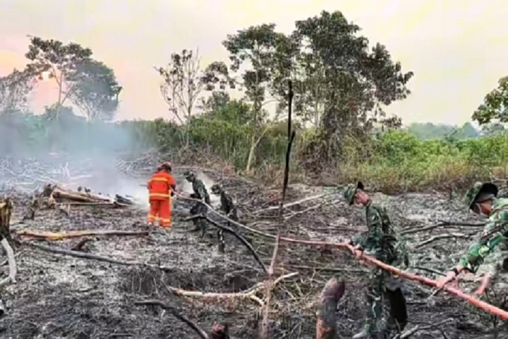 Danyonif TP 927/Uncak Kapuas Kerahkan 100 Prajurit Padamkan Karhutla di Lintas Timur