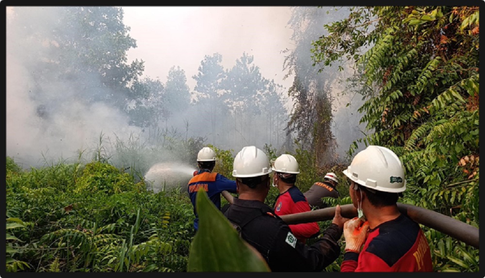 WHW Siagakan Tim 24 Jam Tangani Karhutla di Kendawangan, Salurkan Bantuan CSR
