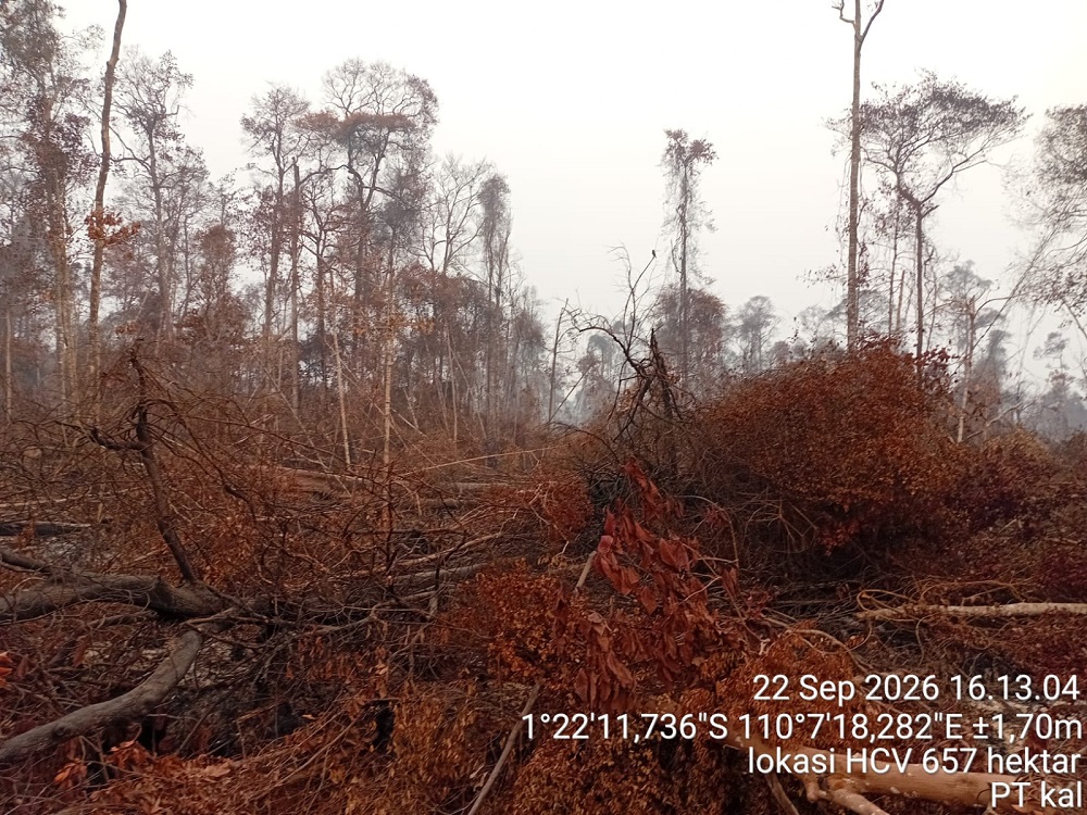 Karhutla di Area PT KAL–First Resources Ancam Satwa Langka dan Sumber Air, DPRD Desak KLHK Turun