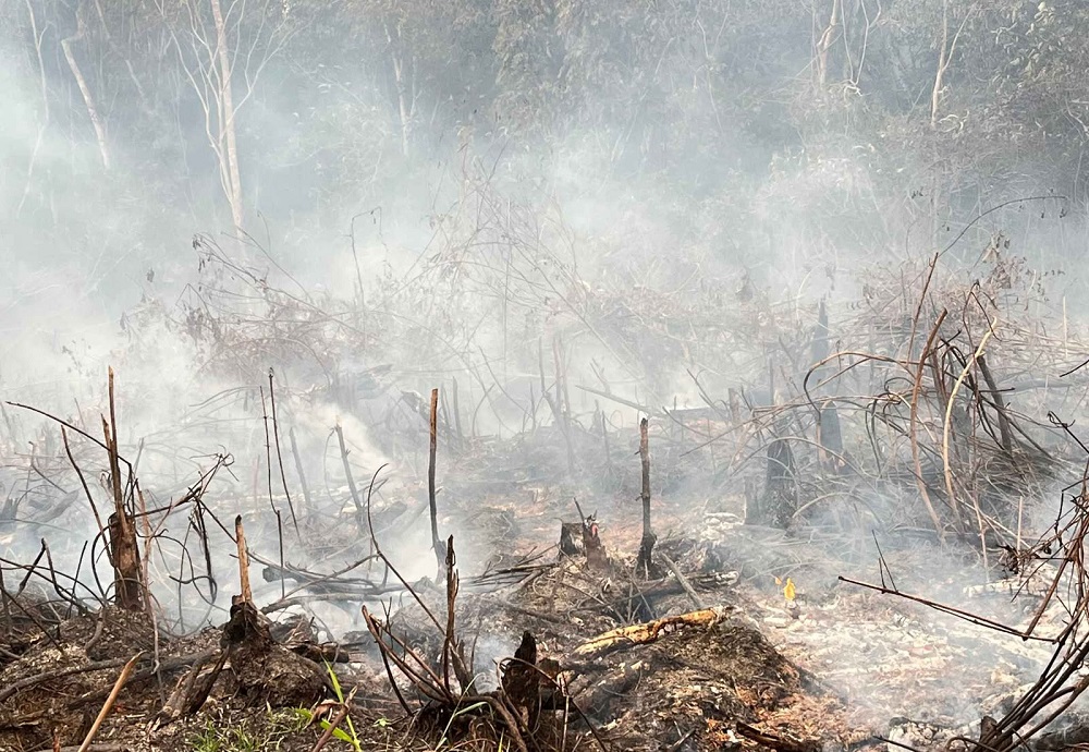 Status Tanggap Darurat Karhutla Kayong Utara Ditetapkan, Penanganan di Lapangan Dinilai Masih Minim