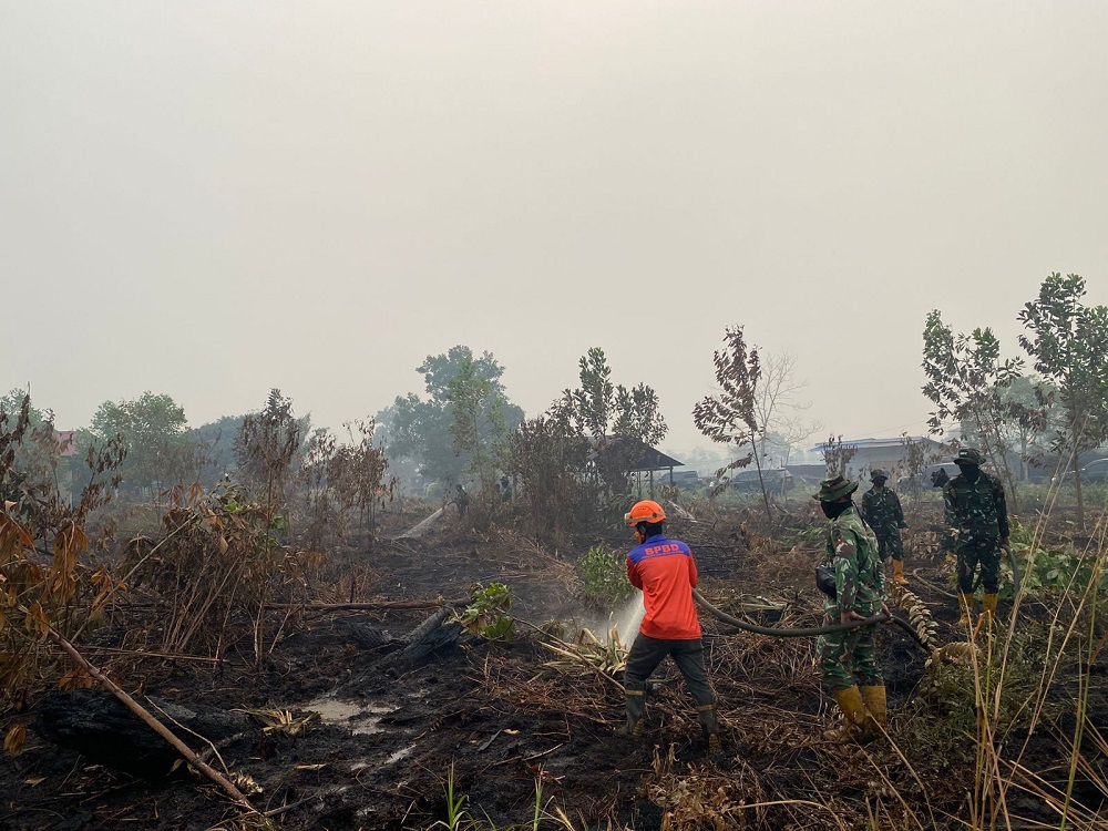 6.169 Titik Panas Terdeteksi di Kalbar, Ketapang-Kubu Raya Mendominasi