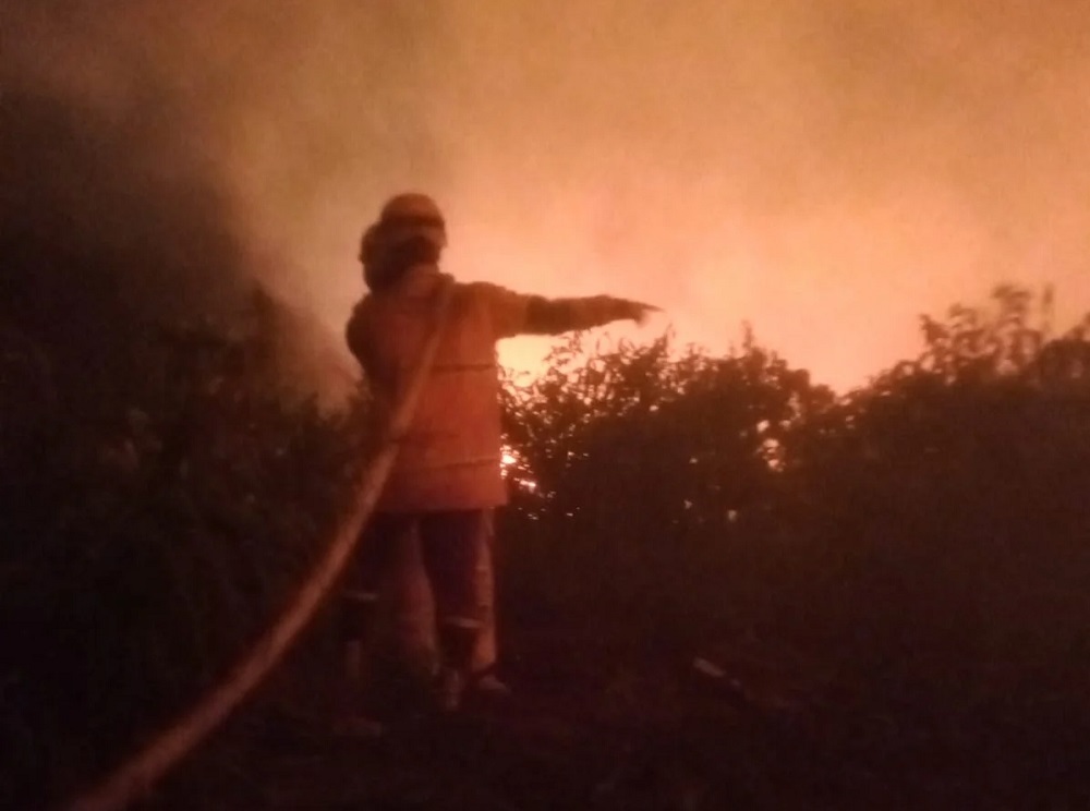 463,608 Hektare Lahan Terbakar, Karhutla Melanda Lima Desa di Melawi