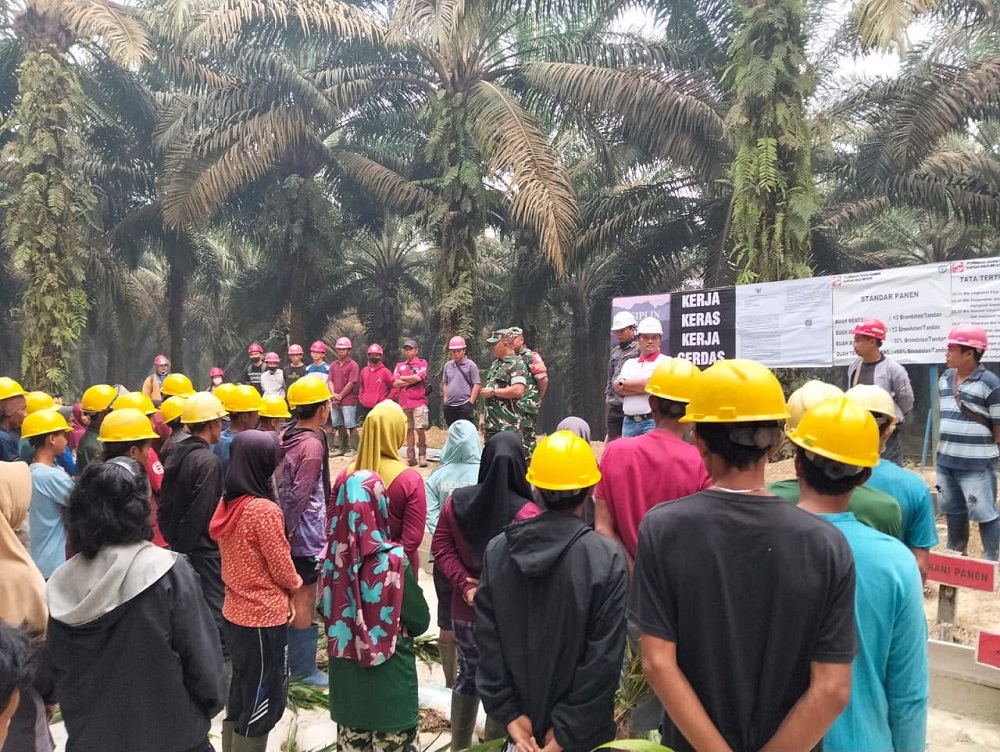Cegah Karhutla, Tim Penyuluh Mabes TNI Edukasi Pekerja Perkebunan di Silat Hilir