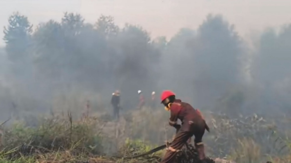 Link-AR Borneo Desak Evaluasi Konsesi Perusahaan di Kayong Utara, Soroti Kanalisasi Gambut