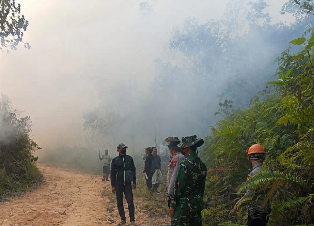 Tiga Desa di Melawi Dilanda Karhutla, Tim Gabungan Terkendala Akses Medan
