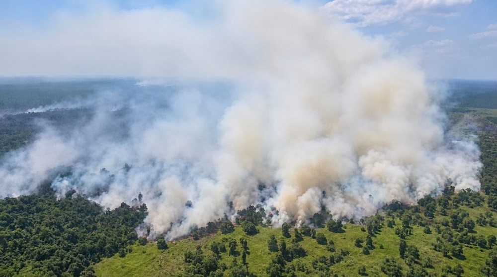 Pembiaran Regulator dan Korporasi Sukses Ubah Lahan Gambut Kayong Utara Jadi Neraka Karhutla