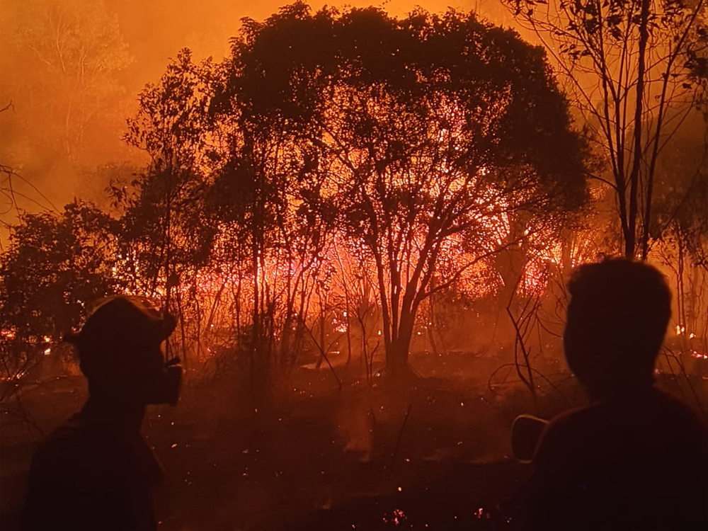 Karhutla Berulang Kali, Kalbar Alami Ekosida